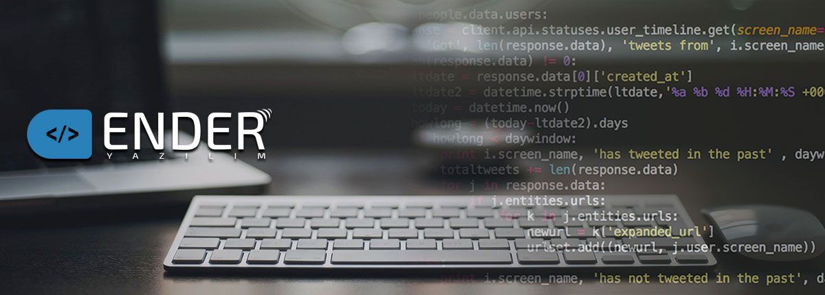 web tasarım